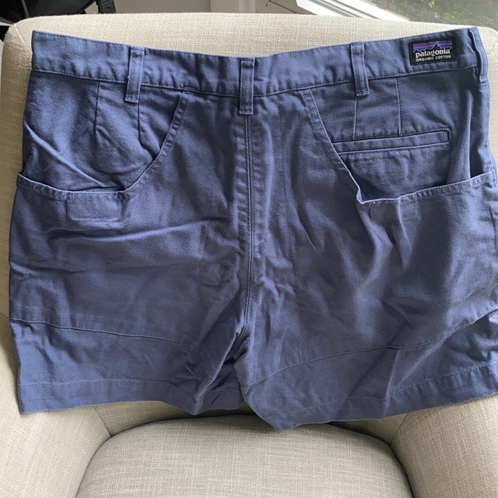 Patagonia Men Shorts